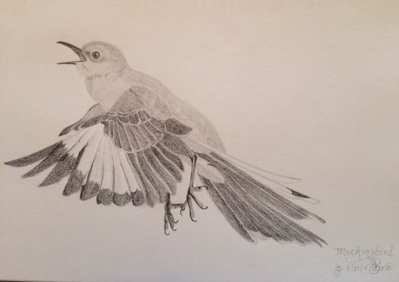 Mockingbird