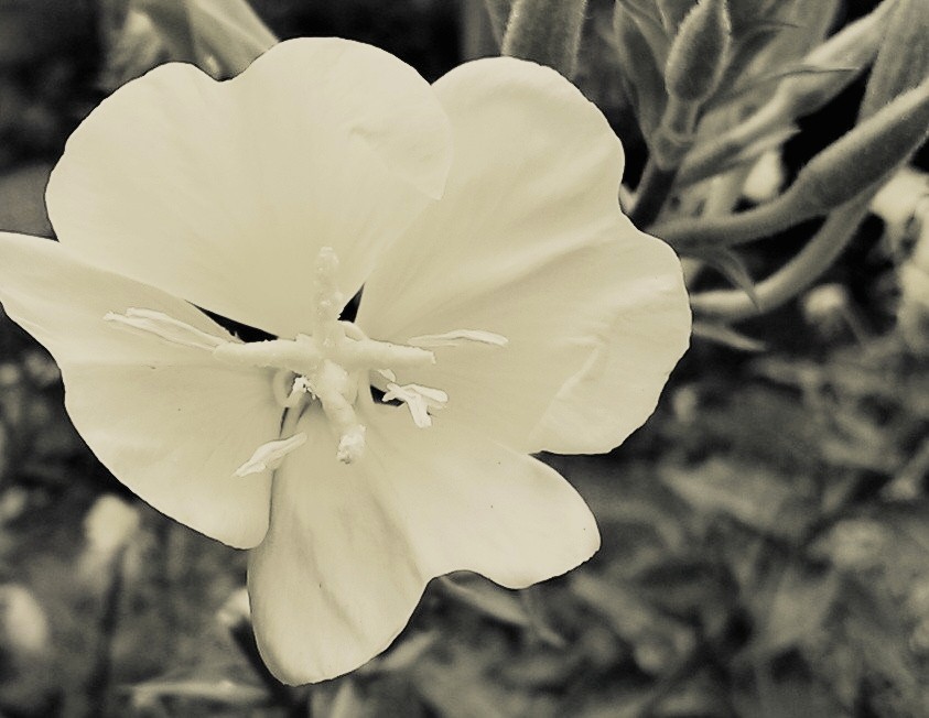 Created with Nokia Smart Cam