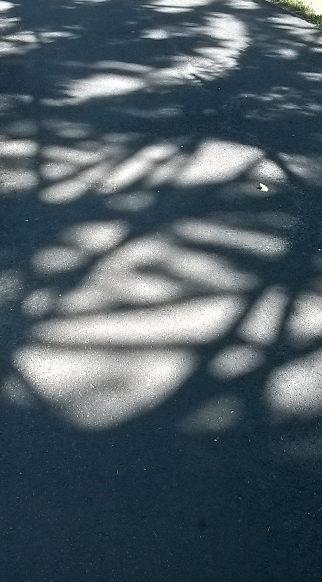 Created with Nokia Smart Cam