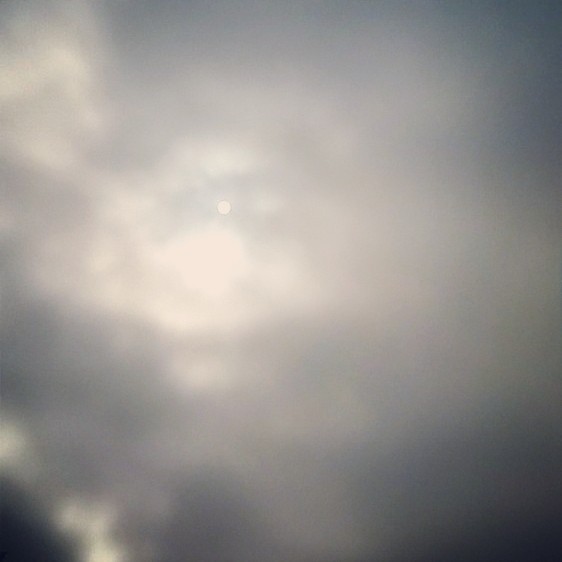 Gray Winter Day.jpg