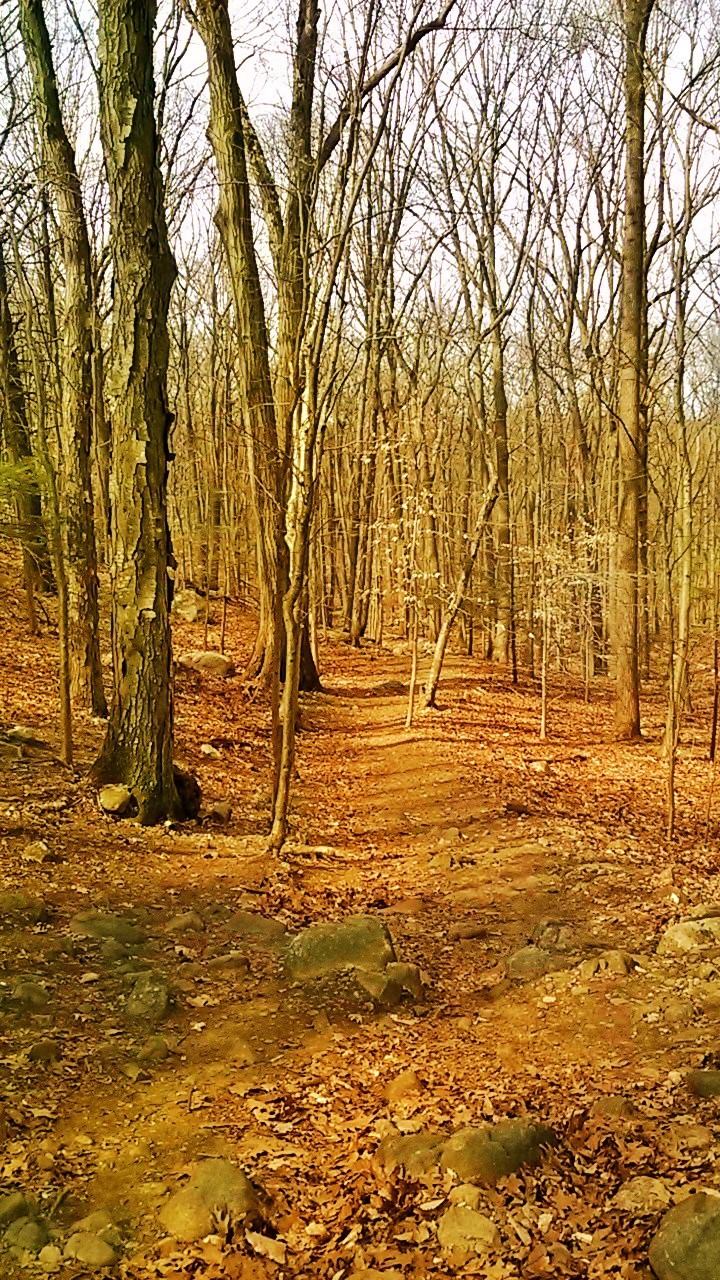 Begin the Hike -- 3:16.jpg