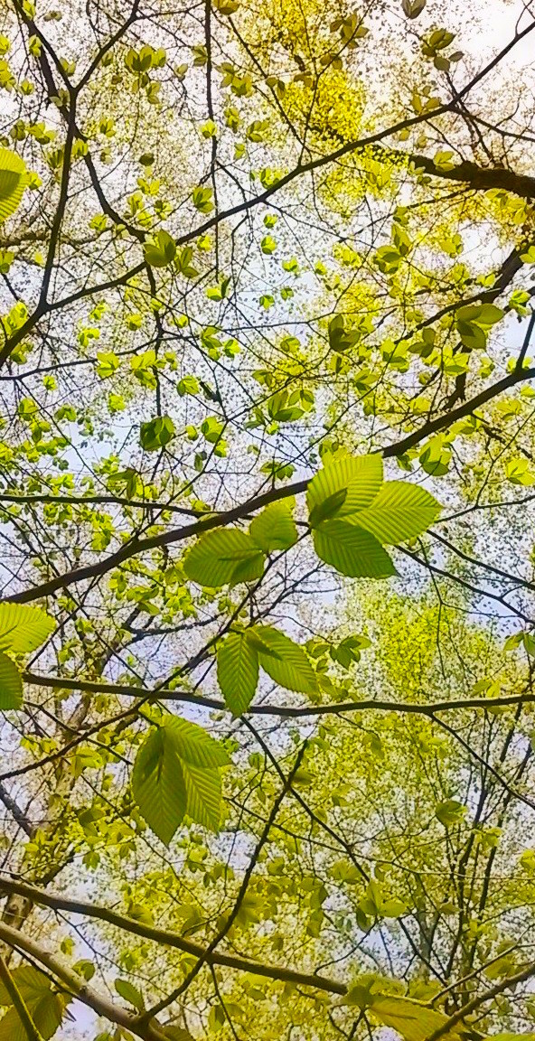 Created with Nokia Smart Cam
