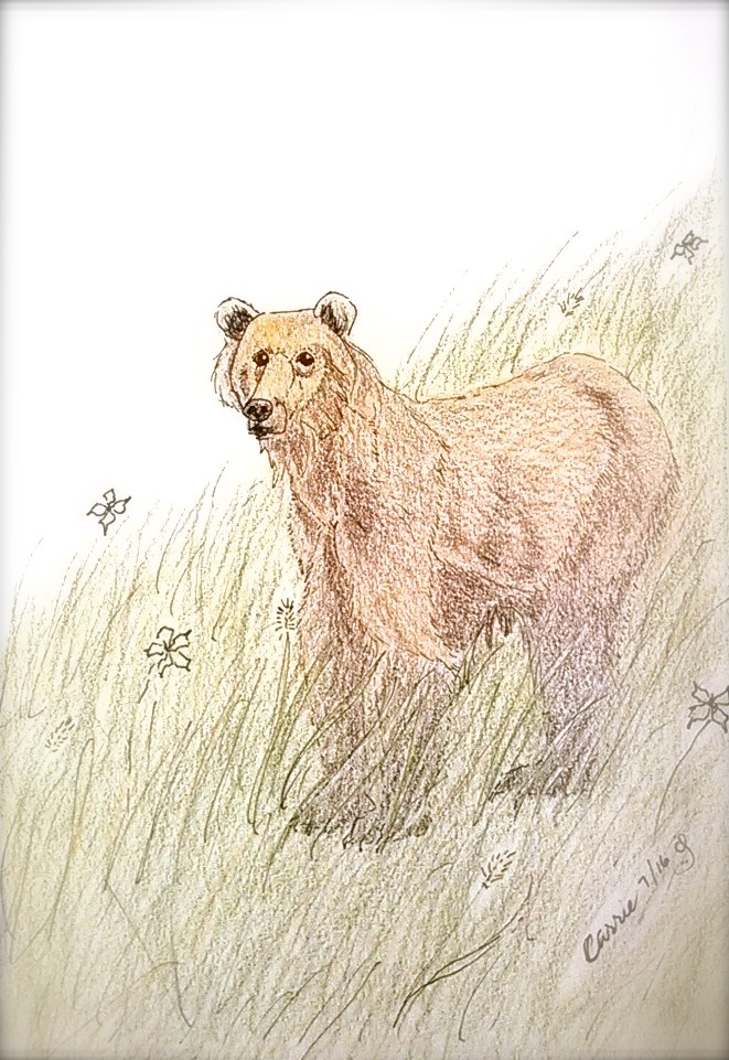 four bears.jpg