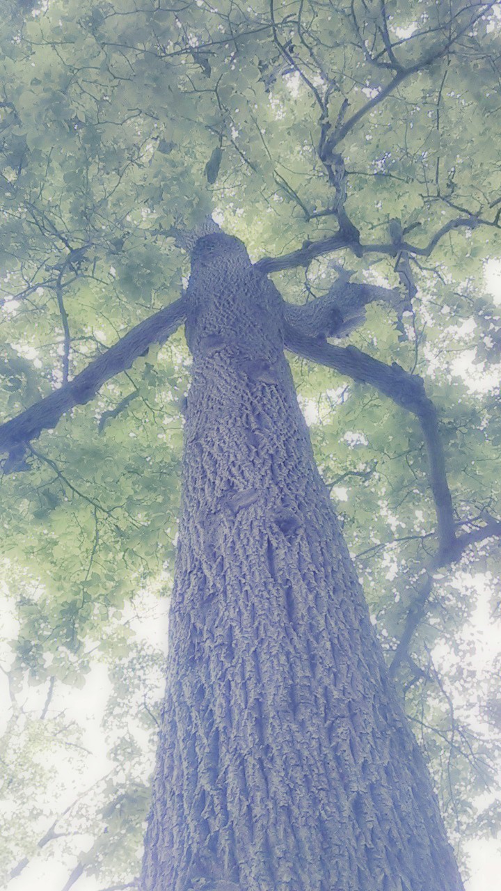 WP_20161004_15_21_54_Smart (3).jpg