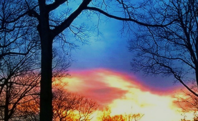 Wintering Sky.jpg