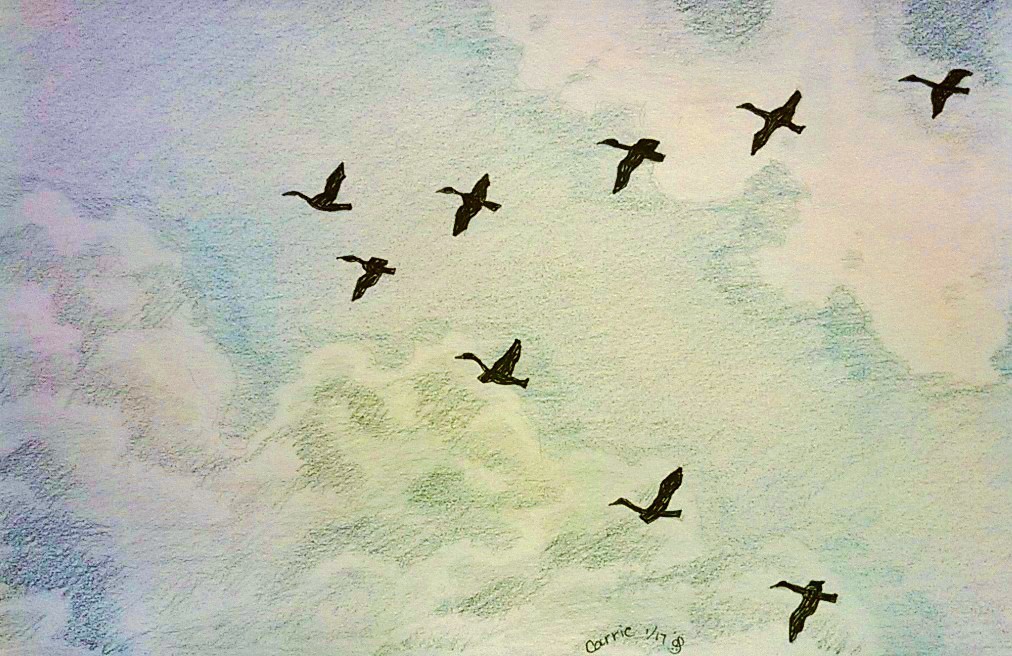 Geese.jpg
