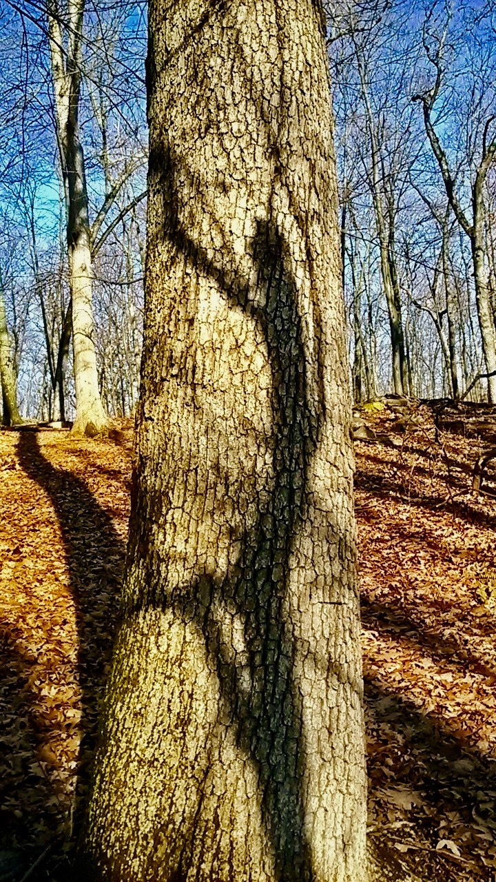 Created with Nokia Smart Cam