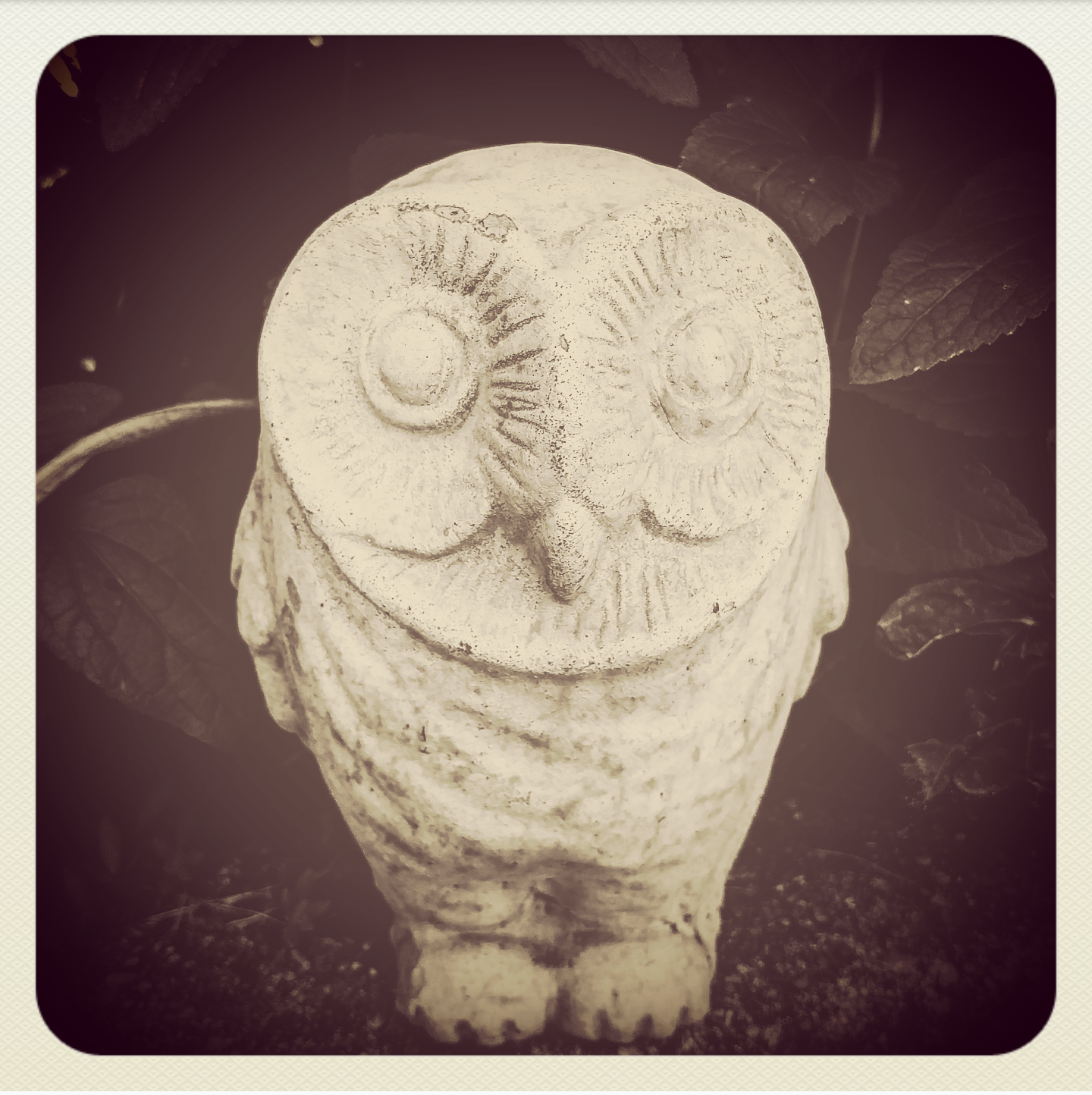 Owl.png