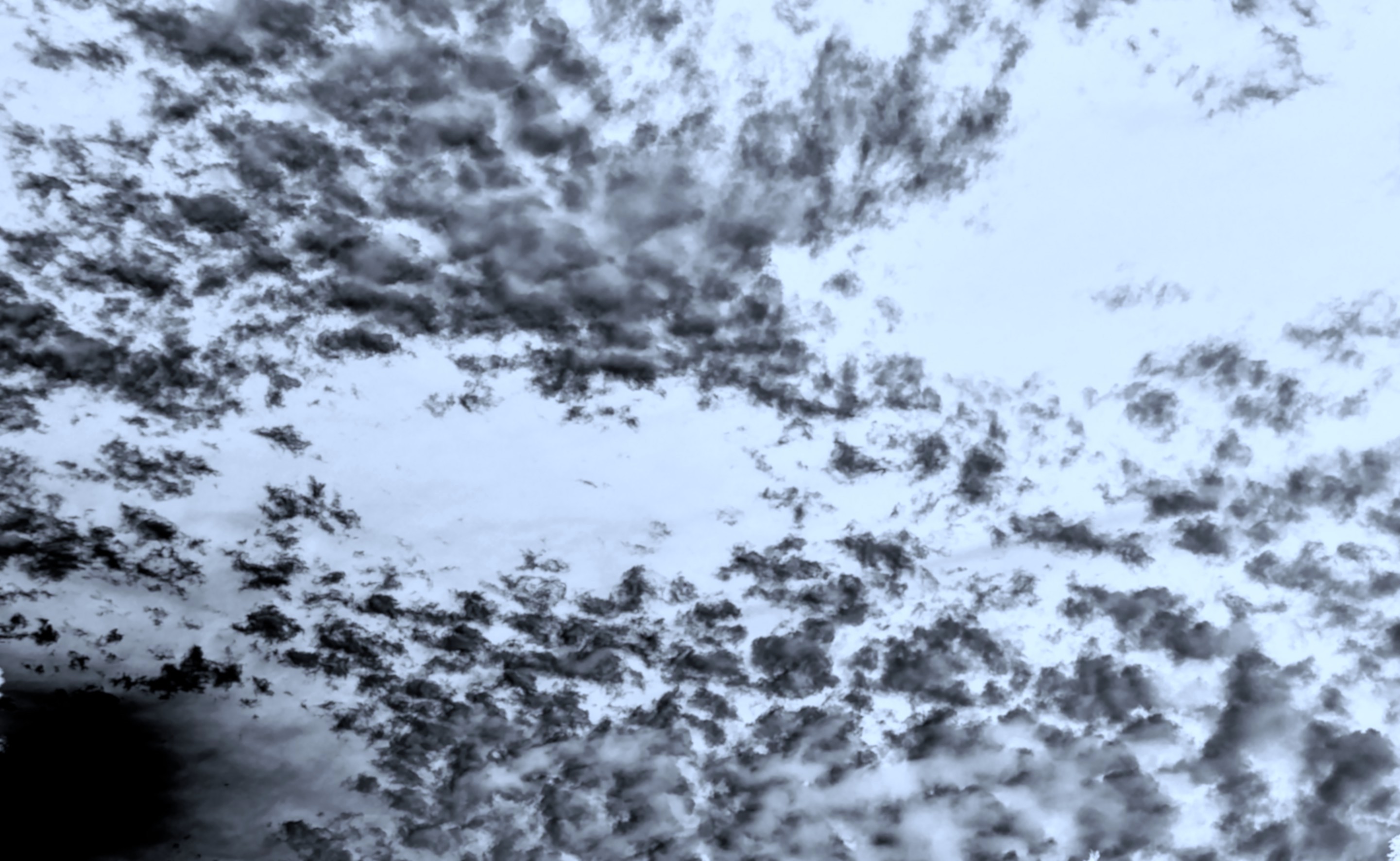 20170729_182603_HDR.jpg