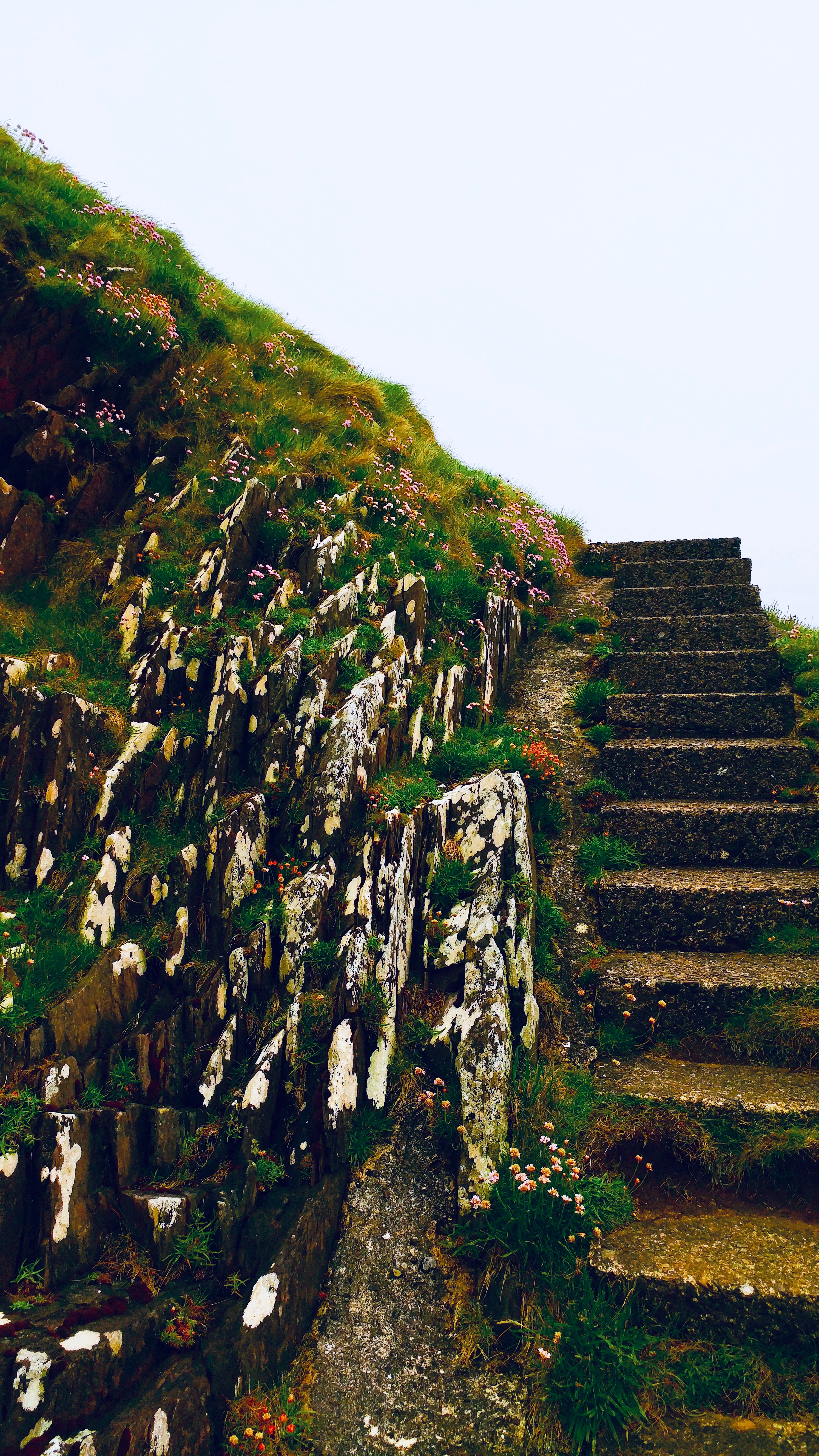 Irish Steps to the Sea.jpeg