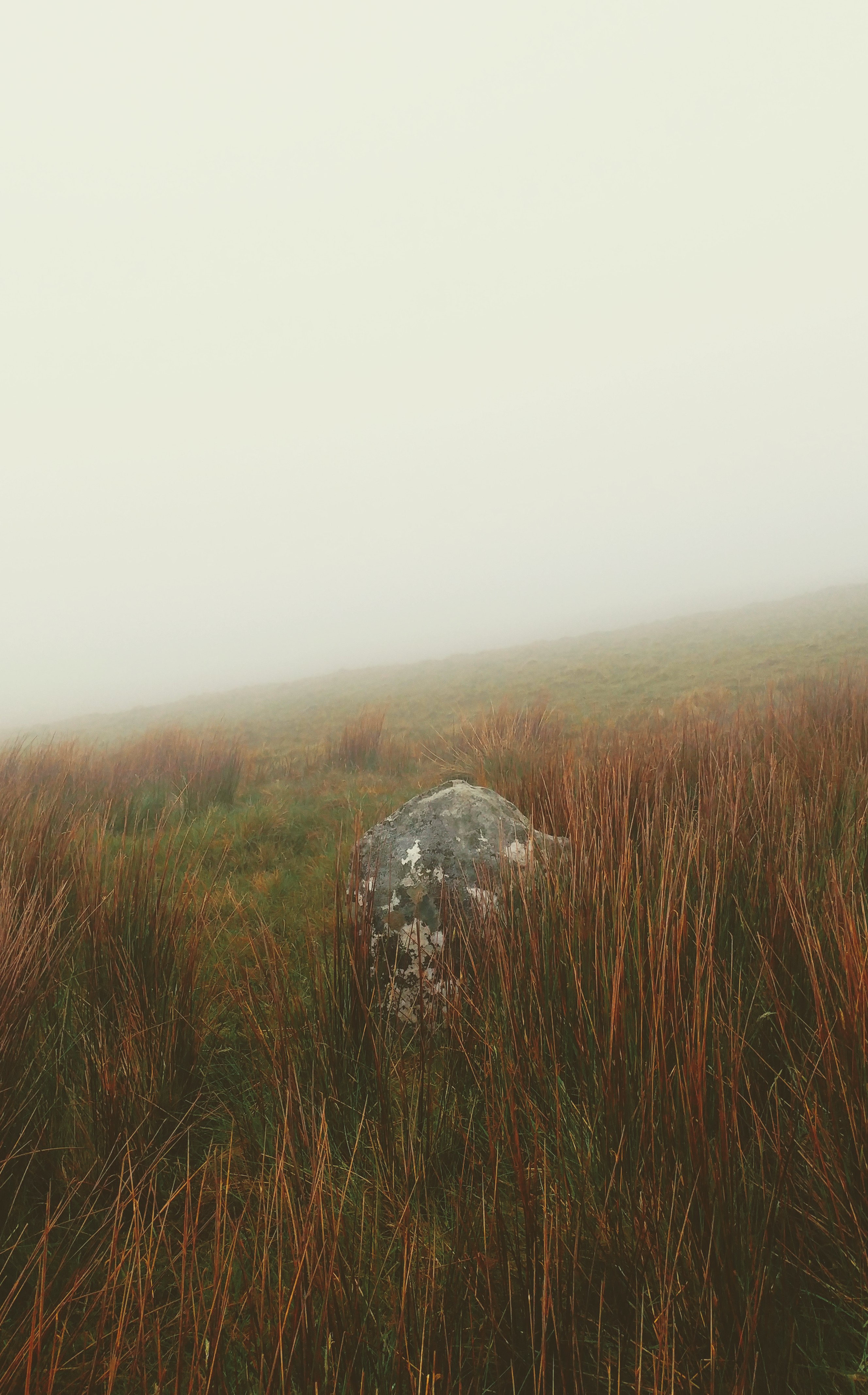 Mount Brandon Stone.jpg