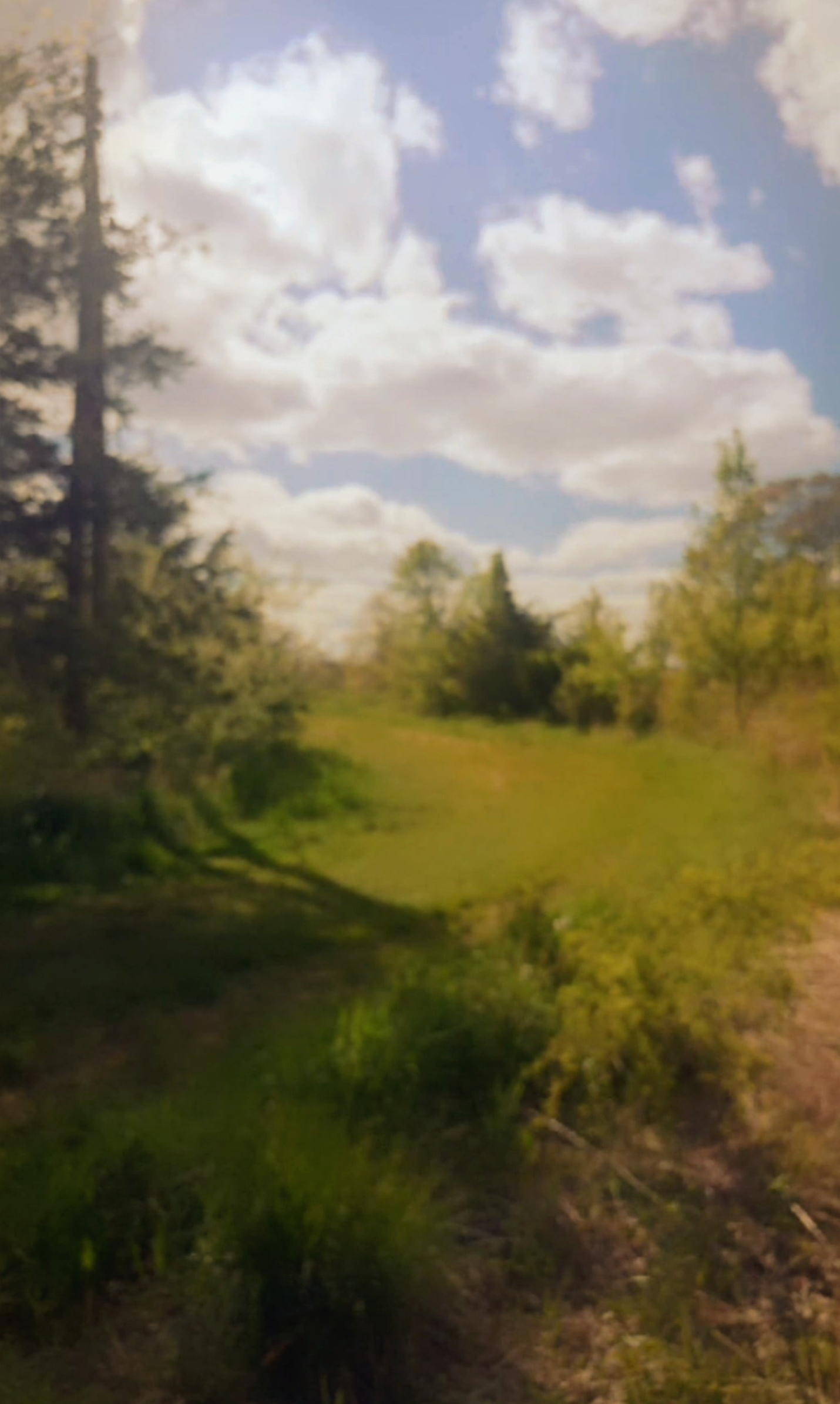 Screenshot_2020-05-13-10-48-08~2