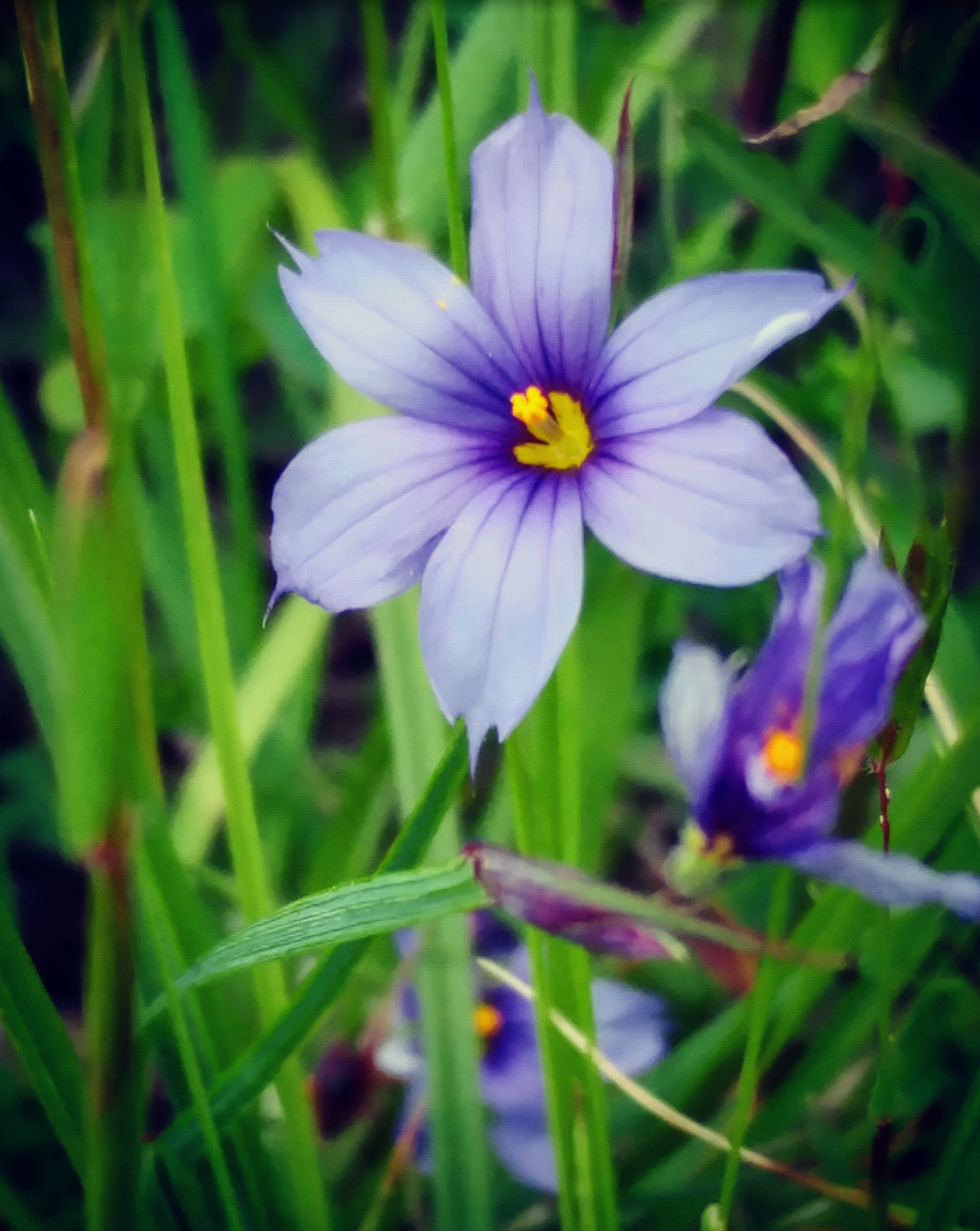 Screenshot_2020-05-13-12-09-15~2